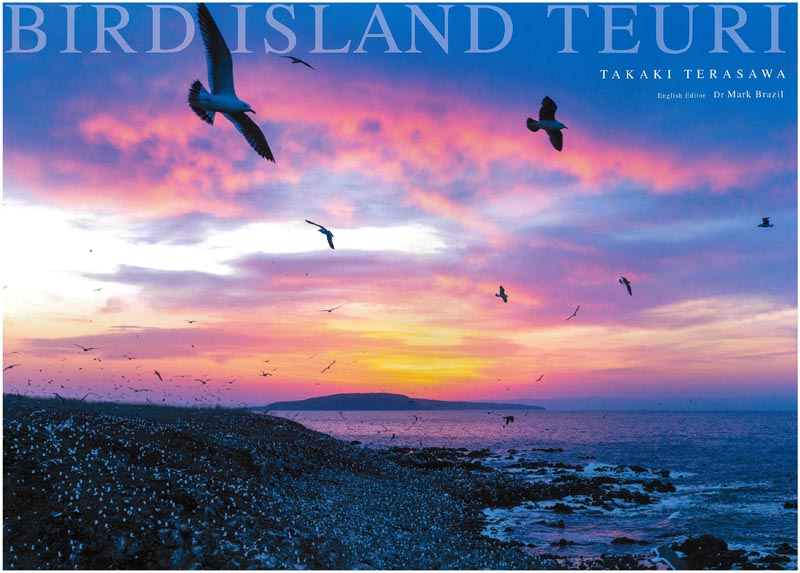 BIRD ISLAND TEURI
