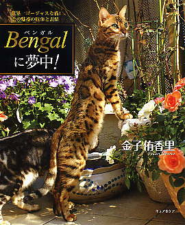 Bengalに夢中!