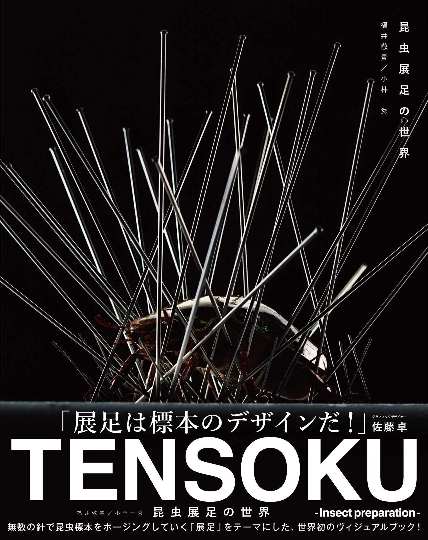 昆虫展足の世界